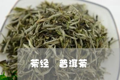 茶经 普洱茶/2023042995020